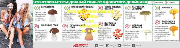 молекула духа Михайловка
