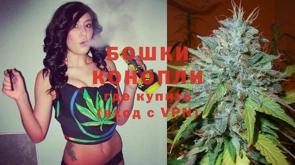 молекула духа Михайловка
